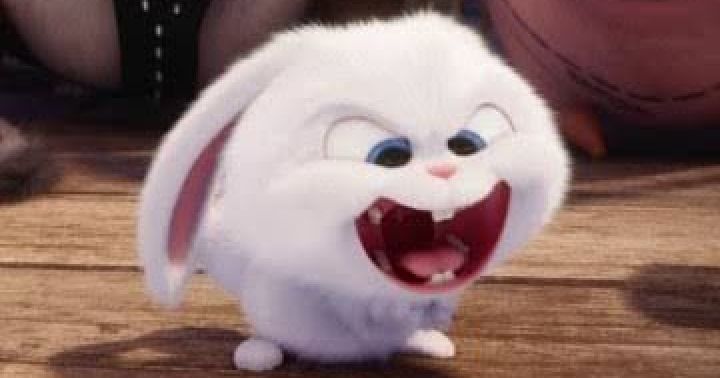 who voice acts the bunny in secret life of pets