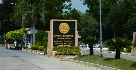 รับตรง 60 สาขาวิทยาศาสตร์การกีฬาฯ ม.เกษตรฯ (ภาคพิเศษ)