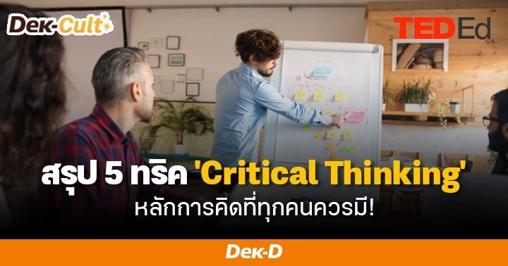 Critical thinking nufypet 05 image