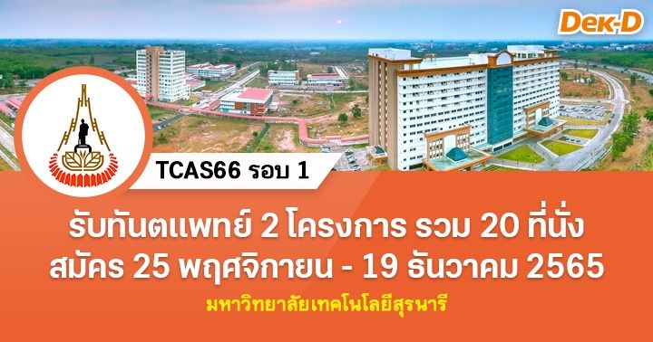 TCAS66 ラウンド 1: スラナリー工科大学歯学 (2 プロジェクト)