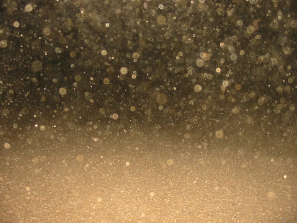 นิยาย The Dust Rain ฝนธุลีพร่างพราย > ตอนที่ 4 2 เปิดตัวครั้งแรก