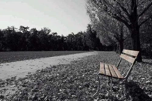 นิยาย Lonely Story เรื่องราวของคนเหงา : Dek-D.Com - Writer