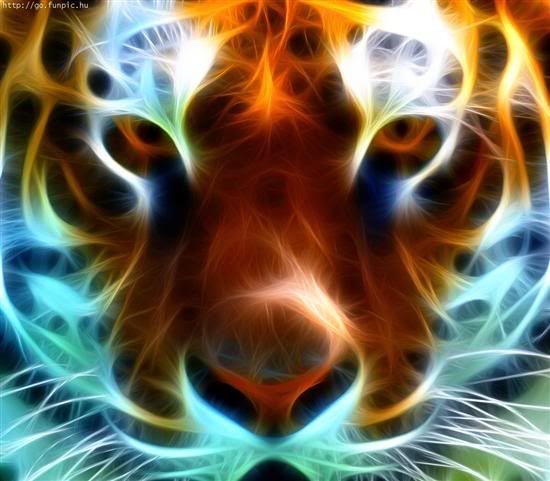 My Image 77