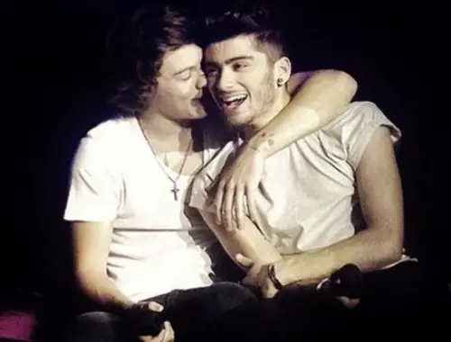 Zarry: They Don't Know About Our Love Stories.