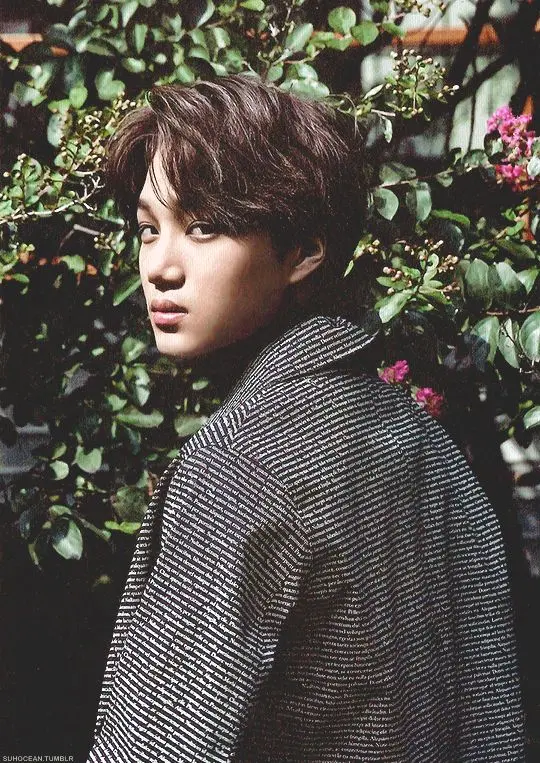 ผลการค้นหารูปภาพสำหรับ kai