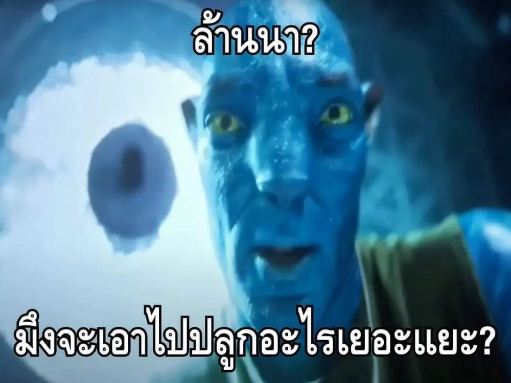 135071061